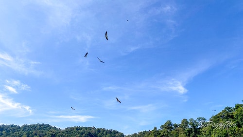 【馬來西亞|蘭卡威】20240102 跨年旅行:蘭卡威三島跳 IMG_1221