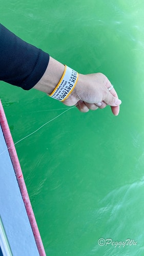 【馬來西亞|蘭卡威】20240102 跨年旅行:蘭卡威三島跳 IMG_1241