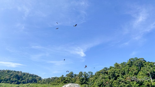 【馬來西亞|蘭卡威】20240102 跨年旅行:蘭卡威三島跳 IMG_1223