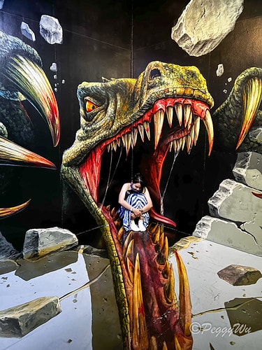 【馬來西亞|蘭卡威】20240103 跨年旅行:探索蘭卡威不 IMG_6659