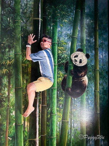 【馬來西亞|蘭卡威】20240103 跨年旅行:探索蘭卡威不 IMG_6655