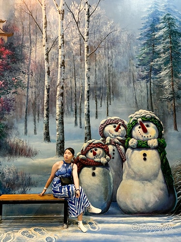 【馬來西亞|蘭卡威】20240103 跨年旅行:探索蘭卡威不 IMG_6703