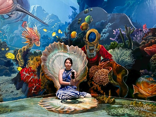 【馬來西亞|蘭卡威】20240103 跨年旅行:探索蘭卡威不 IMG_6637