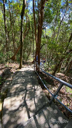 【馬來西亞|蘭卡威】20240103 跨年旅行:探索蘭卡威不 IMG_1492