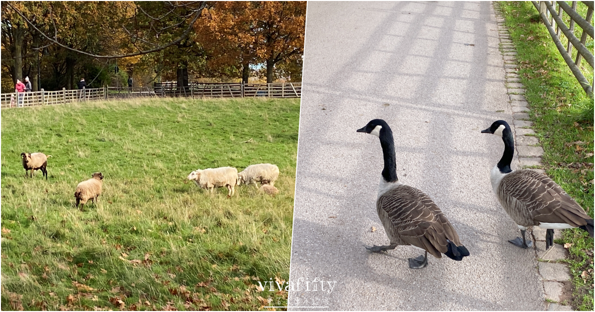 【德國|杜賽道夫】杜賽道夫Düsseldorf – 近郊景點介紹與推薦!!! - 第8張圖 【德國|杜賽道夫】杜賽道夫Düsseldorf – 近郊景點介紹與推薦!!!
