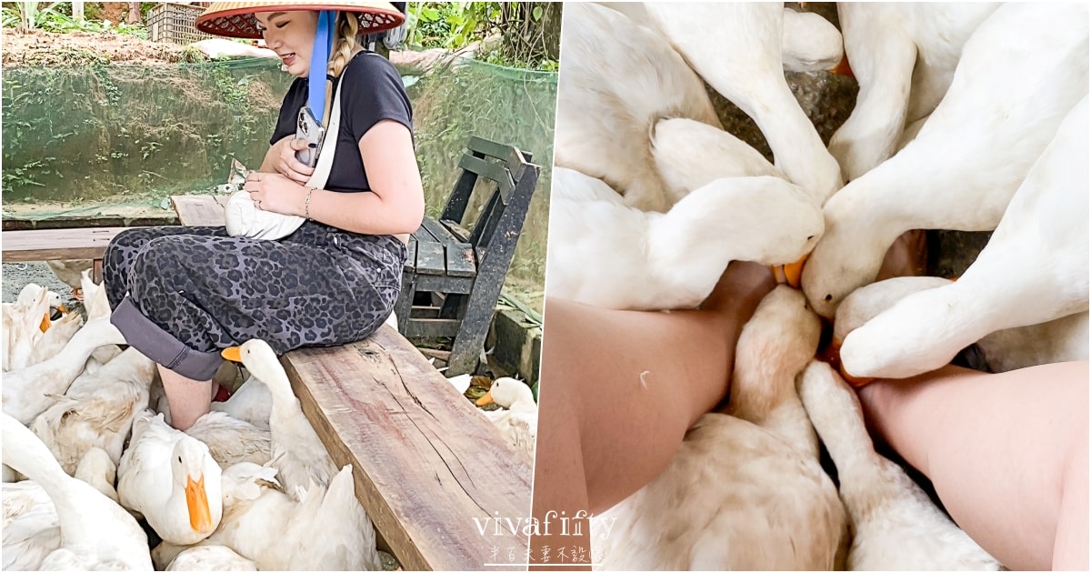 【越南｜中北越】中北越冒險小旅行：The Duck Tang Farm 鴨鴨農場參觀分享!!!