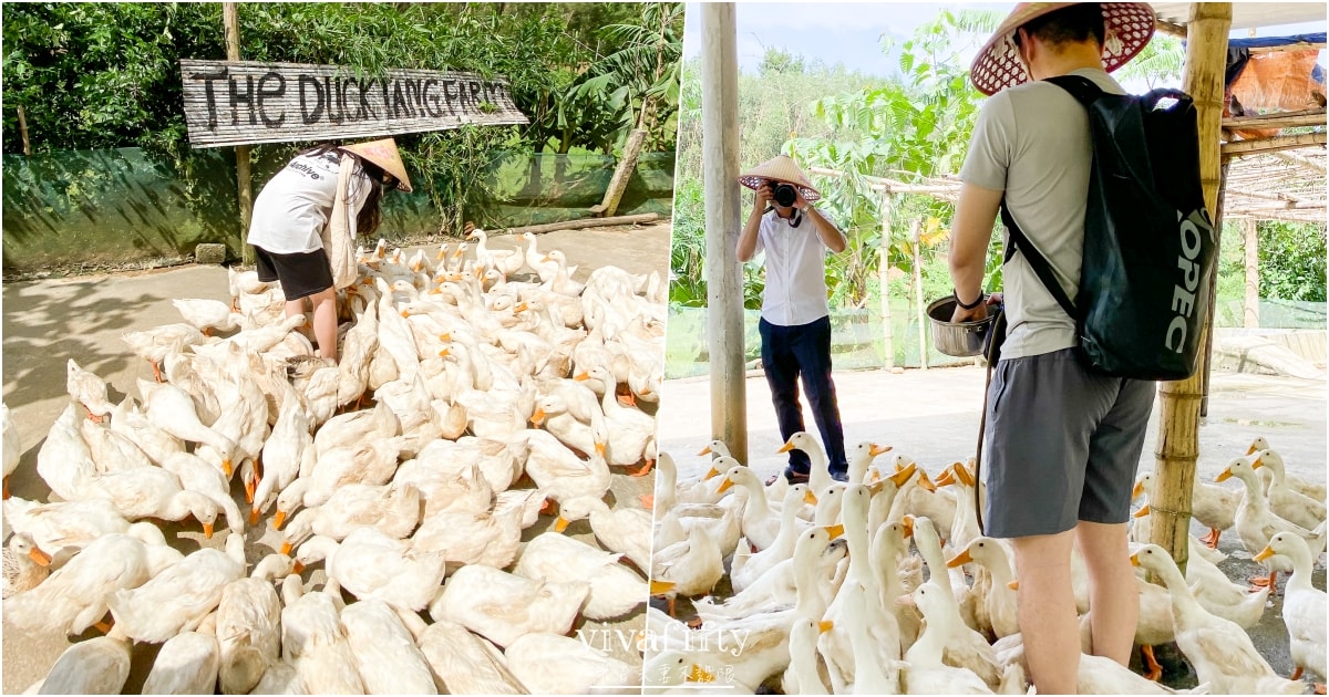 【越南｜中北越】中北越冒險小旅行：The Duck Tang Farm 鴨鴨農場參觀分享!!!