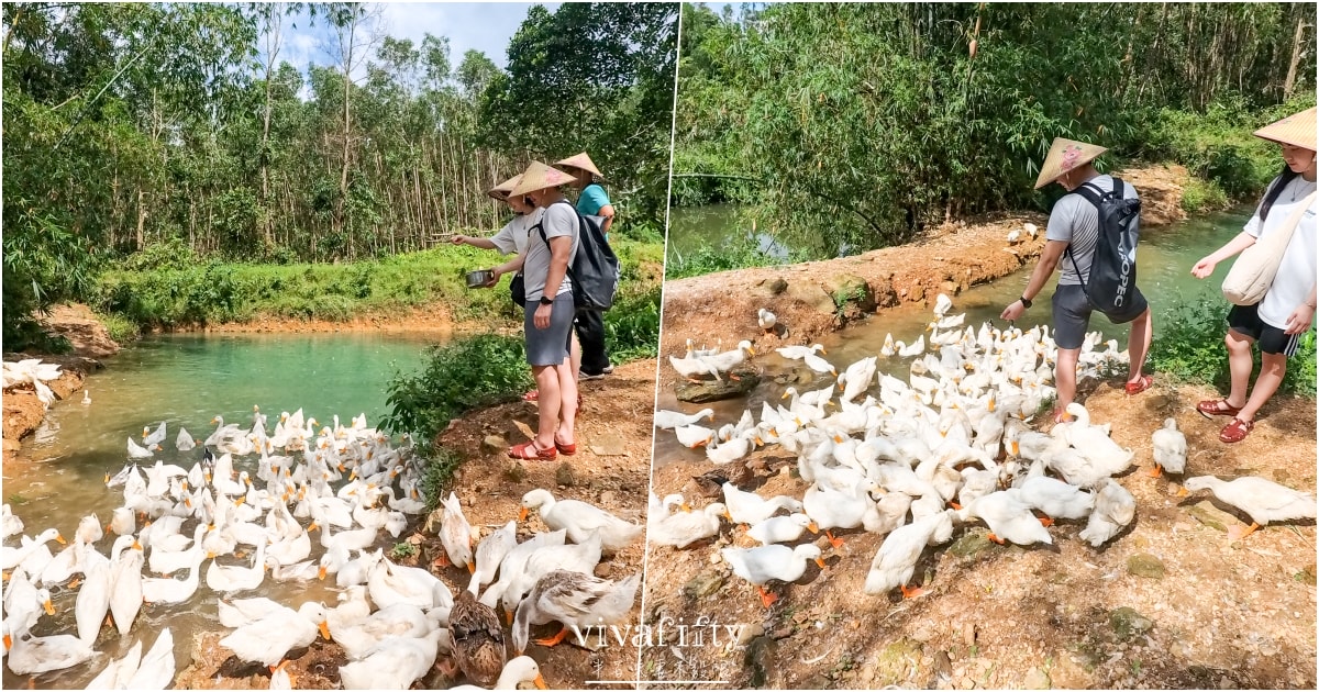 【越南｜中北越】中北越冒險小旅行：The Duck Tang Farm 鴨鴨農場參觀分享!!!