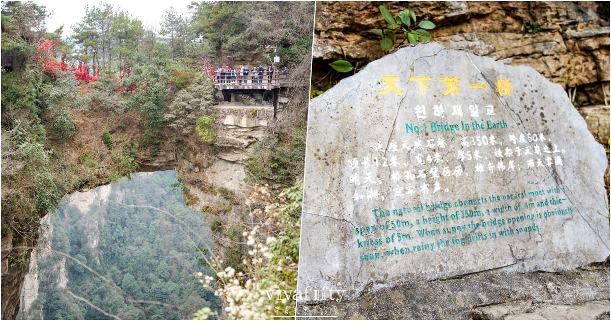 【中國|張家界】悠閒跟團行 – 探索阿凡達電影場景的奇幻山水:”張家界國家森林公園”!!!(上) - 第14張圖 【中國|張家界】悠閒跟團行 – 探索阿凡達電影場景的奇幻山水:”張家界國家森林公園”!!!(上)