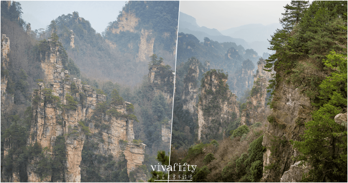 【中國|張家界】悠閒跟團行 – 探索阿凡達電影場景的奇幻山水:”張家界國家森林公園”!!!(下) - 第6張圖 【中國|張家界】悠閒跟團行 – 探索阿凡達電影場景的奇幻山水:”張家界國家森林公園”!!!(下)