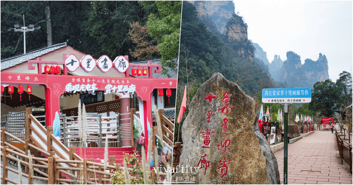【中國|張家界】悠閒跟團行 – 探索阿凡達電影場景的奇幻山水:”張家界國家森林公園”!!!(下) - 第11張圖 【中國|張家界】悠閒跟團行 – 探索阿凡達電影場景的奇幻山水:”張家界國家森林公園”!!!(下)