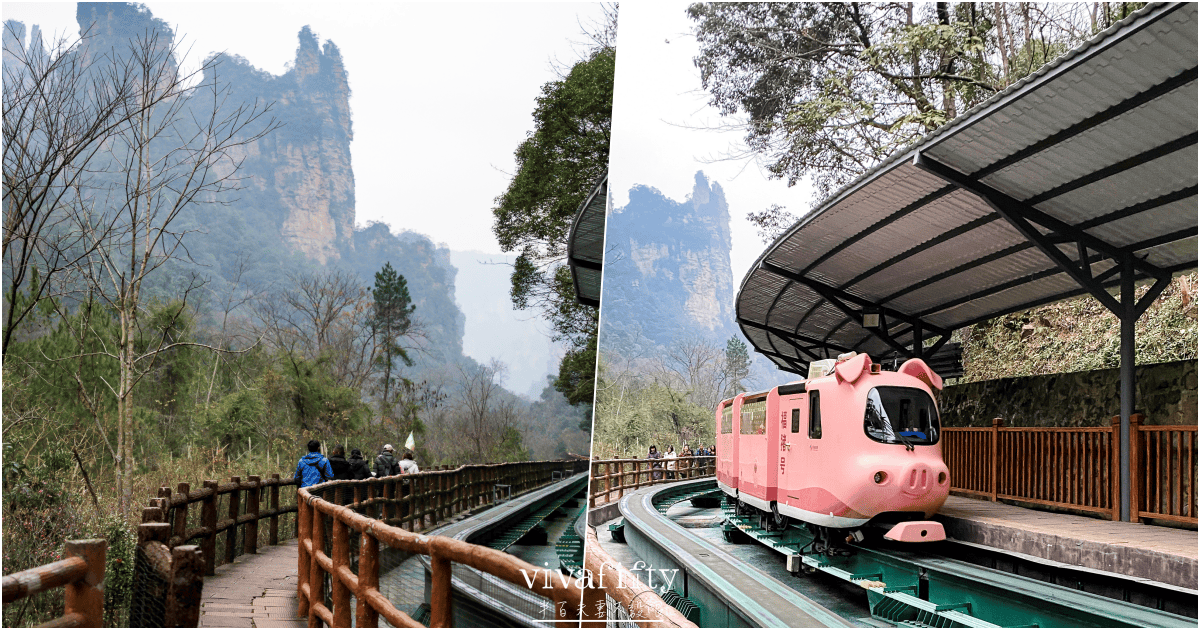 【中國|張家界】悠閒跟團行 – 探索阿凡達電影場景的奇幻山水:”張家界國家森林公園”!!!(下) - 第12張圖 【中國|張家界】悠閒跟團行 – 探索阿凡達電影場景的奇幻山水:”張家界國家森林公園”!!!(下)