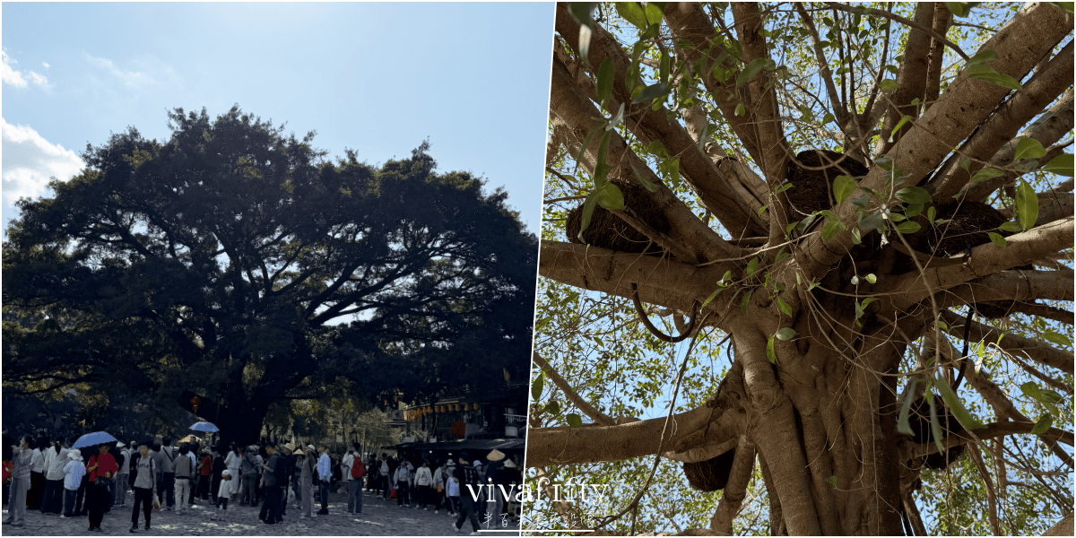 【中國|廈門】金廈過年行:TRIP.COM – 南靖雲水謠古鎮+福建土樓王雙景區一日遊紀錄與心得分享!!! - 第29張圖 【中國|廈門】金廈過年行:TRIP.COM – 南靖雲水謠古鎮+福建土樓王雙景區一日遊紀錄與心得分享!!!