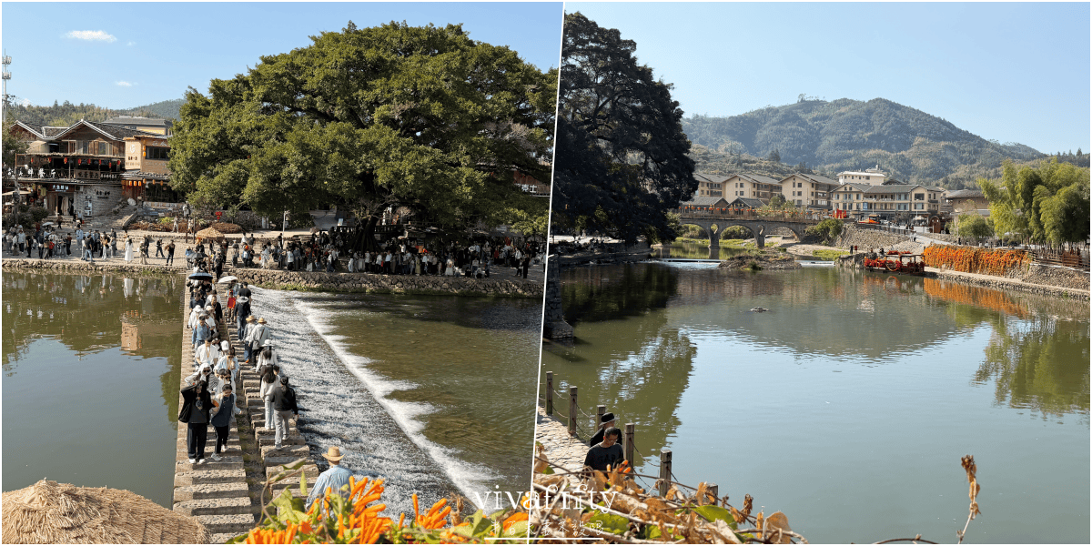 【中國|廈門】金廈過年行:TRIP.COM – 南靖雲水謠古鎮+福建土樓王雙景區一日遊紀錄與心得分享!!! - 第32張圖 【中國|廈門】金廈過年行:TRIP.COM – 南靖雲水謠古鎮+福建土樓王雙景區一日遊紀錄與心得分享!!!