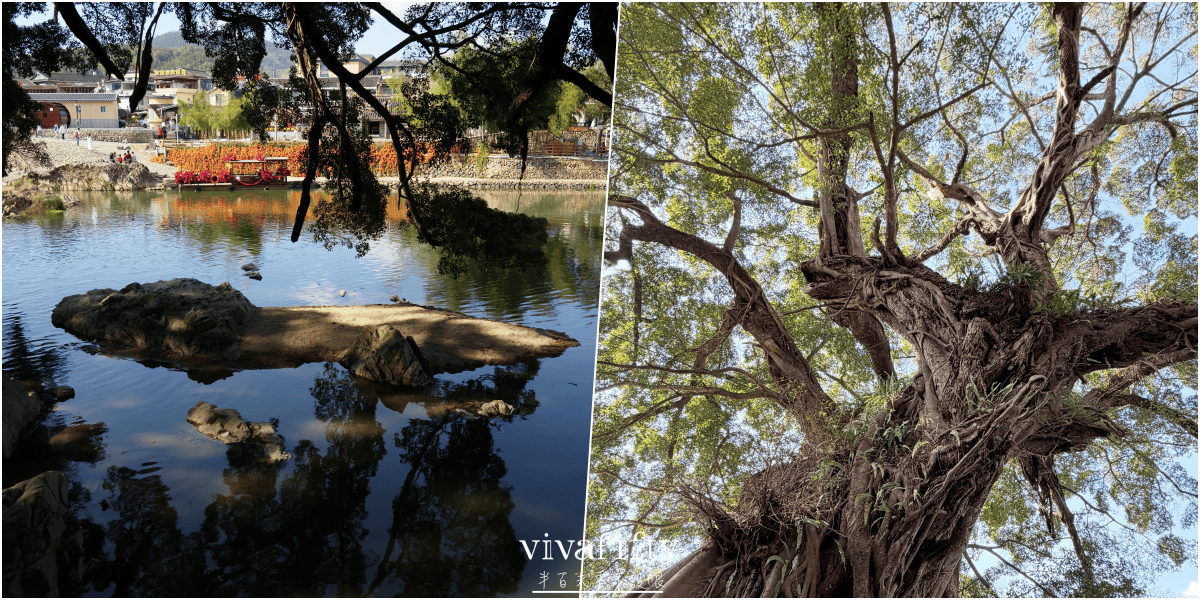 【中國|廈門】金廈過年行:TRIP.COM – 南靖雲水謠古鎮+福建土樓王雙景區一日遊紀錄與心得分享!!! - 第34張圖 【中國|廈門】金廈過年行:TRIP.COM – 南靖雲水謠古鎮+福建土樓王雙景區一日遊紀錄與心得分享!!!