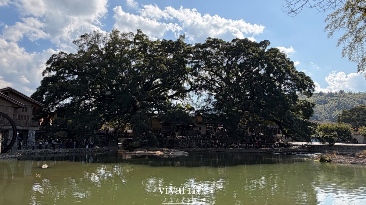 【中國|廈門】金廈過年行:TRIP.COM – 南靖雲水謠古鎮+福建土樓王雙景區一日遊紀錄與心得分享!!! - 第30張圖 【中國|廈門】金廈過年行:TRIP.COM – 南靖雲水謠古鎮+福建土樓王雙景區一日遊紀錄與心得分享!!!