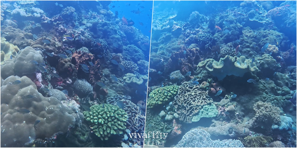 【印尼|佩尼達島】半百夫妻勇闖 Penida 島!!潛店 Sanctum Dive 真實體驗與分享!! - 第8張圖 【印尼|佩尼達島】半百夫妻勇闖 Penida 島!!潛店 Sanctum Dive 真實體驗與分享!!