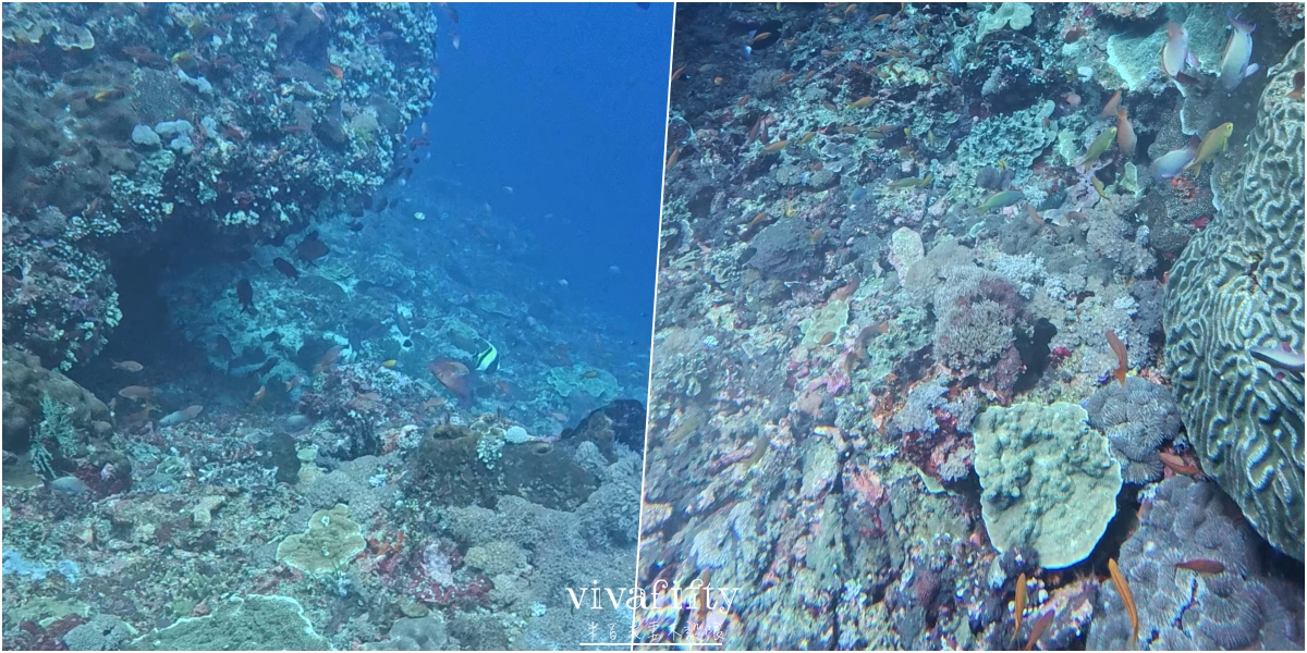 【印尼|佩尼達島】半百夫妻勇闖 Penida 島!!潛店 Sanctum Dive 真實體驗與分享!! - 第11張圖 【印尼|佩尼達島】半百夫妻勇闖 Penida 島!!潛店 Sanctum Dive 真實體驗與分享!!