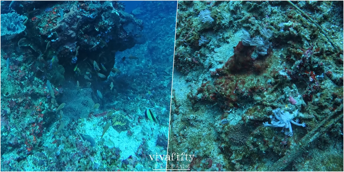【印尼|佩尼達島】半百夫妻勇闖 Penida 島!!潛店 Sanctum Dive 真實體驗與分享!! - 第14張圖 【印尼|佩尼達島】半百夫妻勇闖 Penida 島!!潛店 Sanctum Dive 真實體驗與分享!!