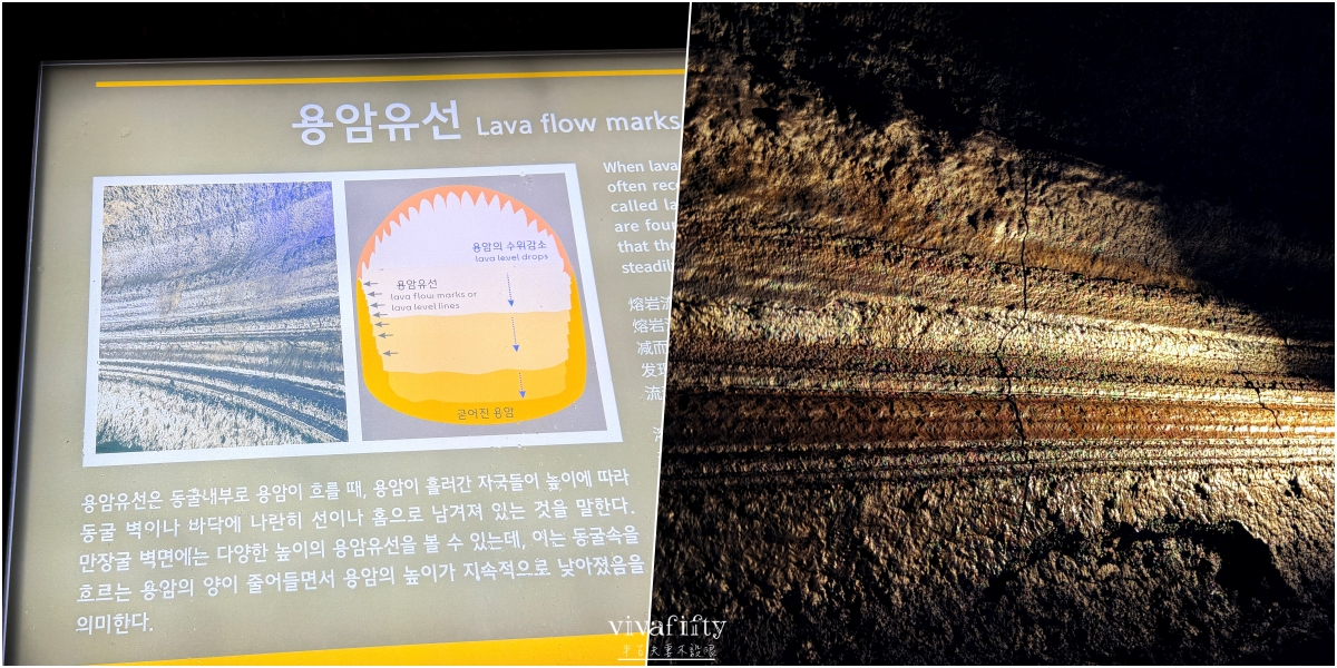 【韓國|濟州島】2026自駕必去!!解鎖世界自然遺產:萬丈窟熔岩洞穴 - 第14張圖 【韓國|濟州島】2026自駕必去!!解鎖世界自然遺產:萬丈窟熔岩洞穴