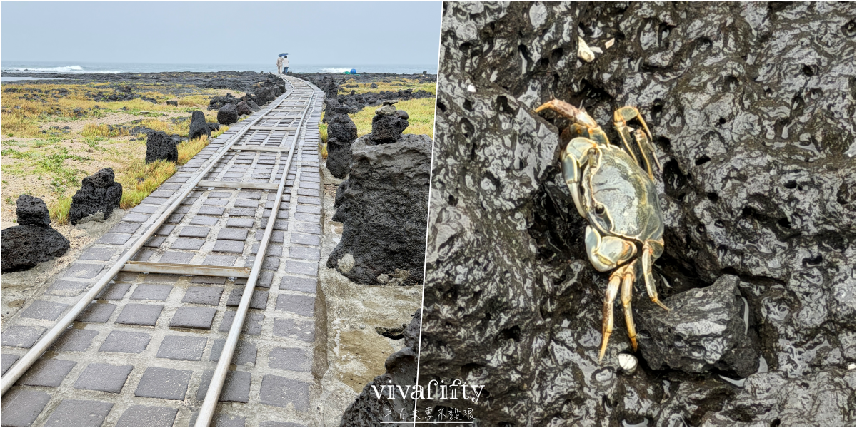 【韓國|濟州島】2026自駕行程推薦:盤點5個底片殺手景點! - 第15張圖 【韓國|濟州島】2026自駕行程推薦:盤點5個底片殺手景點!